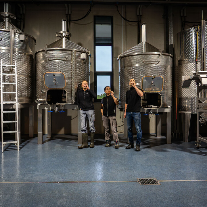 Bild Weinlese_25_k-68.jpg